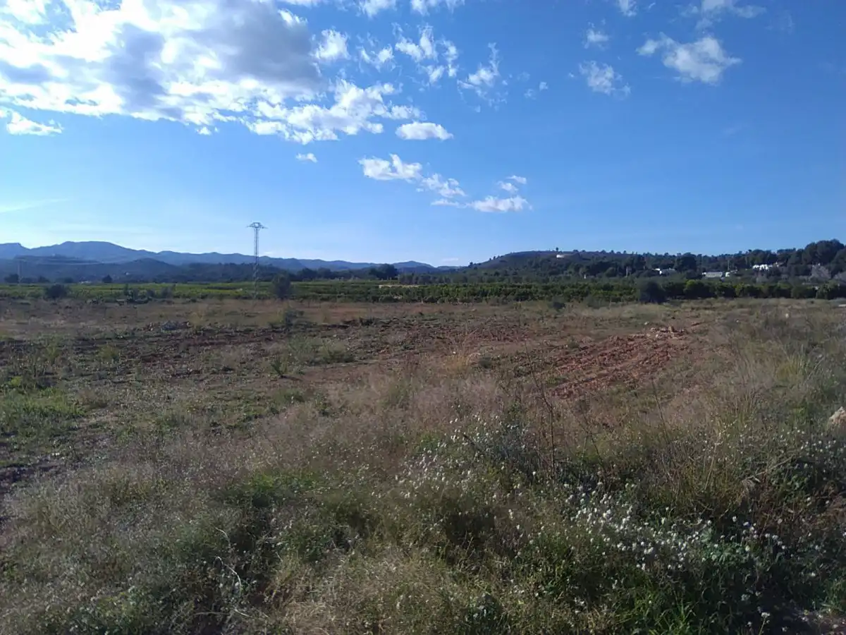 Terreno rústico en venta en Alfara de la Baronia, imagen 9