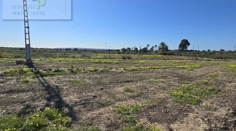 Foto 4 von Grundstücke zur Miete in Partida Torrellano Bajo, 1103, Torrellano, Elche / Elx
