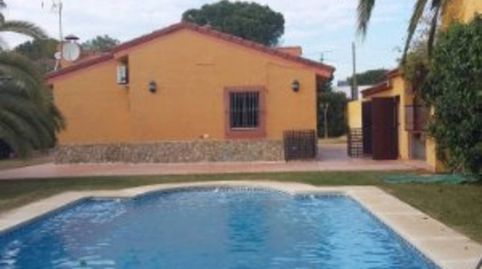 Foto 4 de Casa o xalet de lloguer a Calle Pino Santo, Carmona, Sevilla