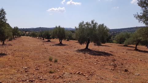 Foto 4 von Country house zum Verkauf in Villanueva del Duque, Córdoba
