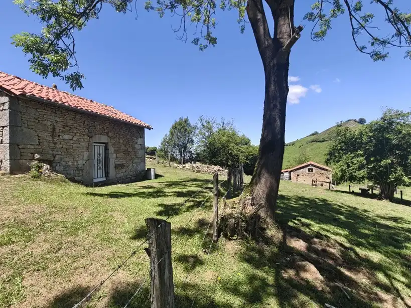Terreno rustico in vendita a Proaza, imagen 5