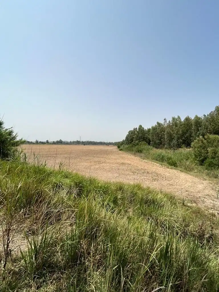 Terrenys i solars en venda a Carretera Cortes 4, imagen 11