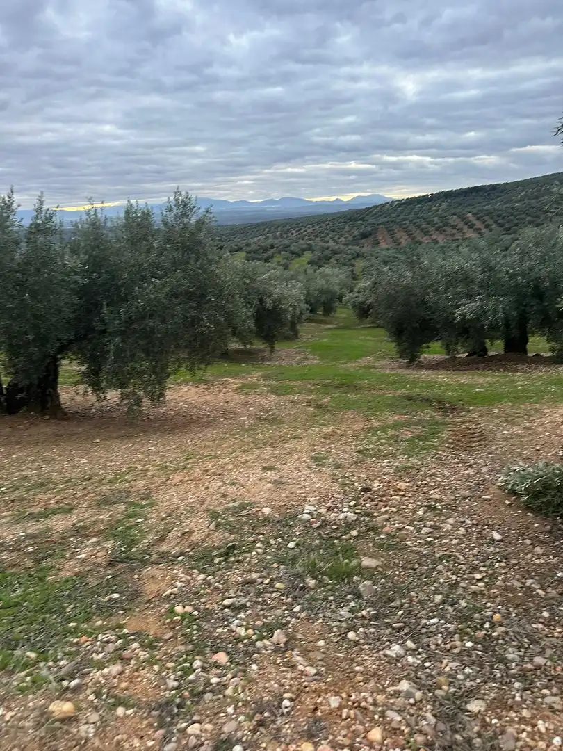 Grundstücke zum Verkauf in Andújar