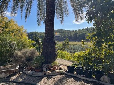 Casa rustica in vendita a Callosa d'en Sarrià