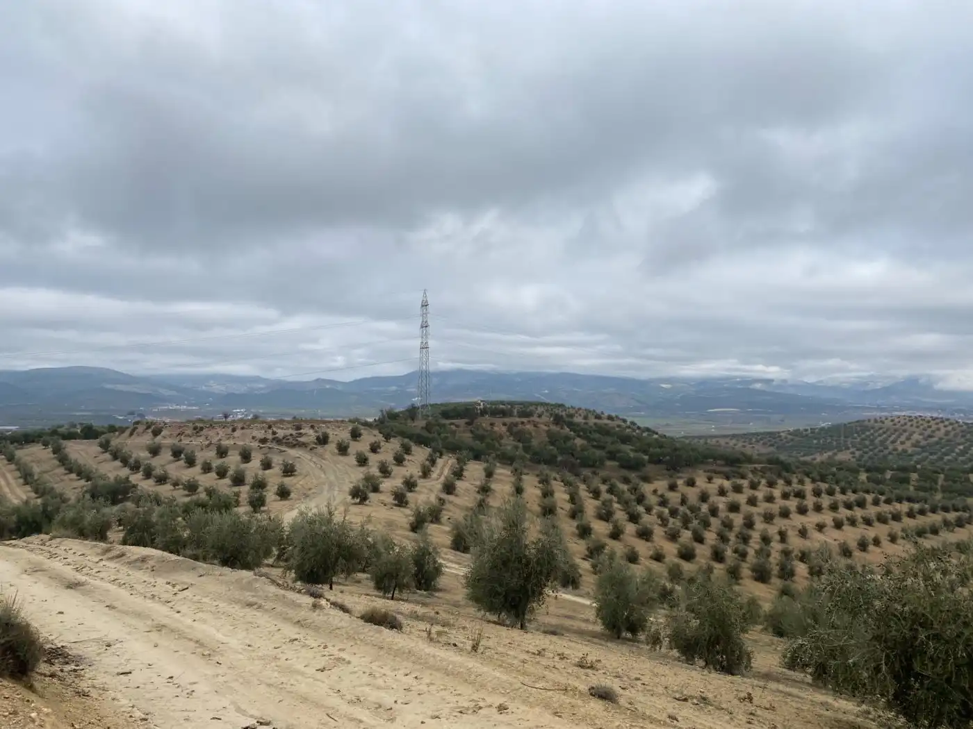 Casa rustica in vendita a Huétor Tájar, imagen 11
