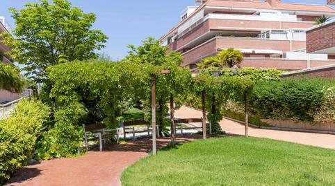 Photo 4 of Flat to rent in Sector B, Boadilla del Monte