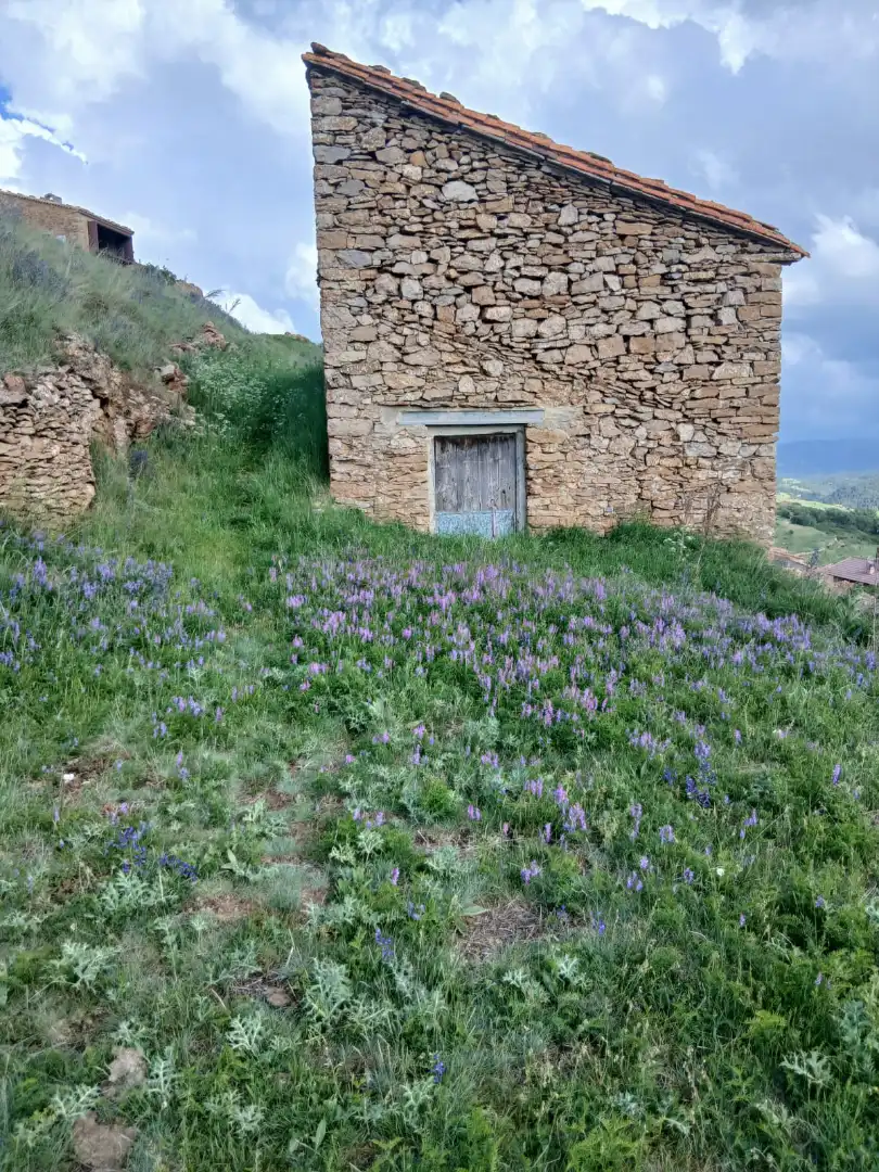 Jardín de Casa o chalet en venta en Valdelinares