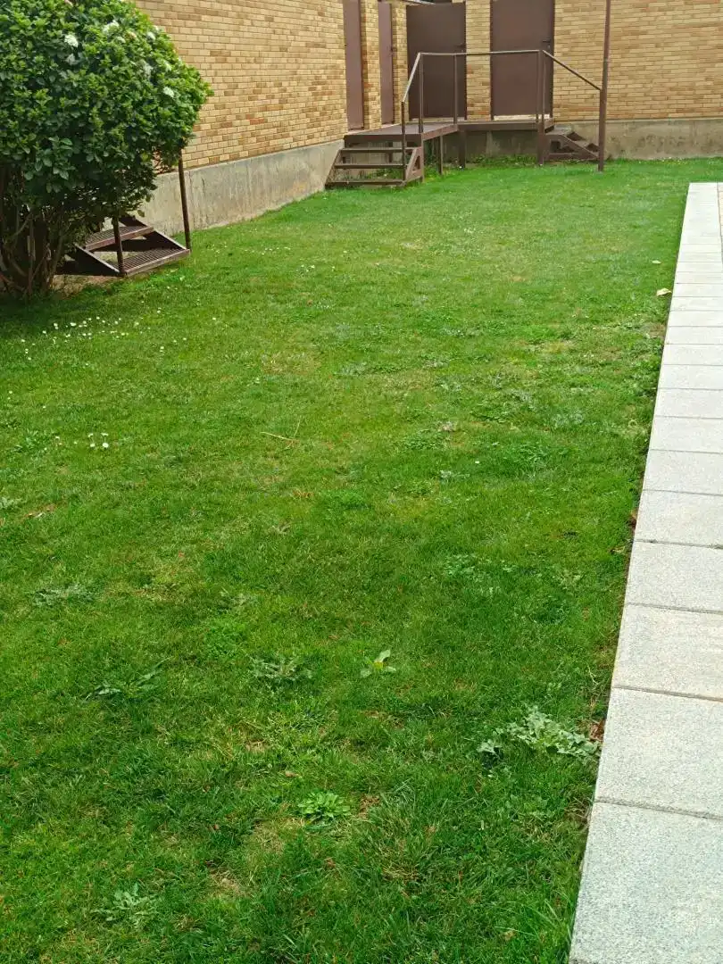 Jardí de Pis en venda en  Albacete Capital amb Piscina i Balcó