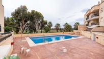 Swimming pool of Flat for sale in Roquetas de Mar  with Terrace