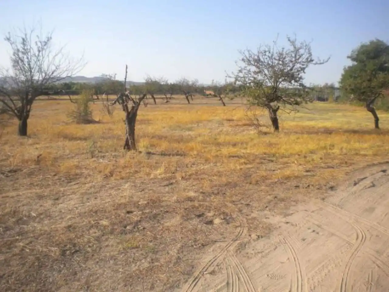 Terreny residencial en venda a Camino ESPARRAGOSA, imagen 4