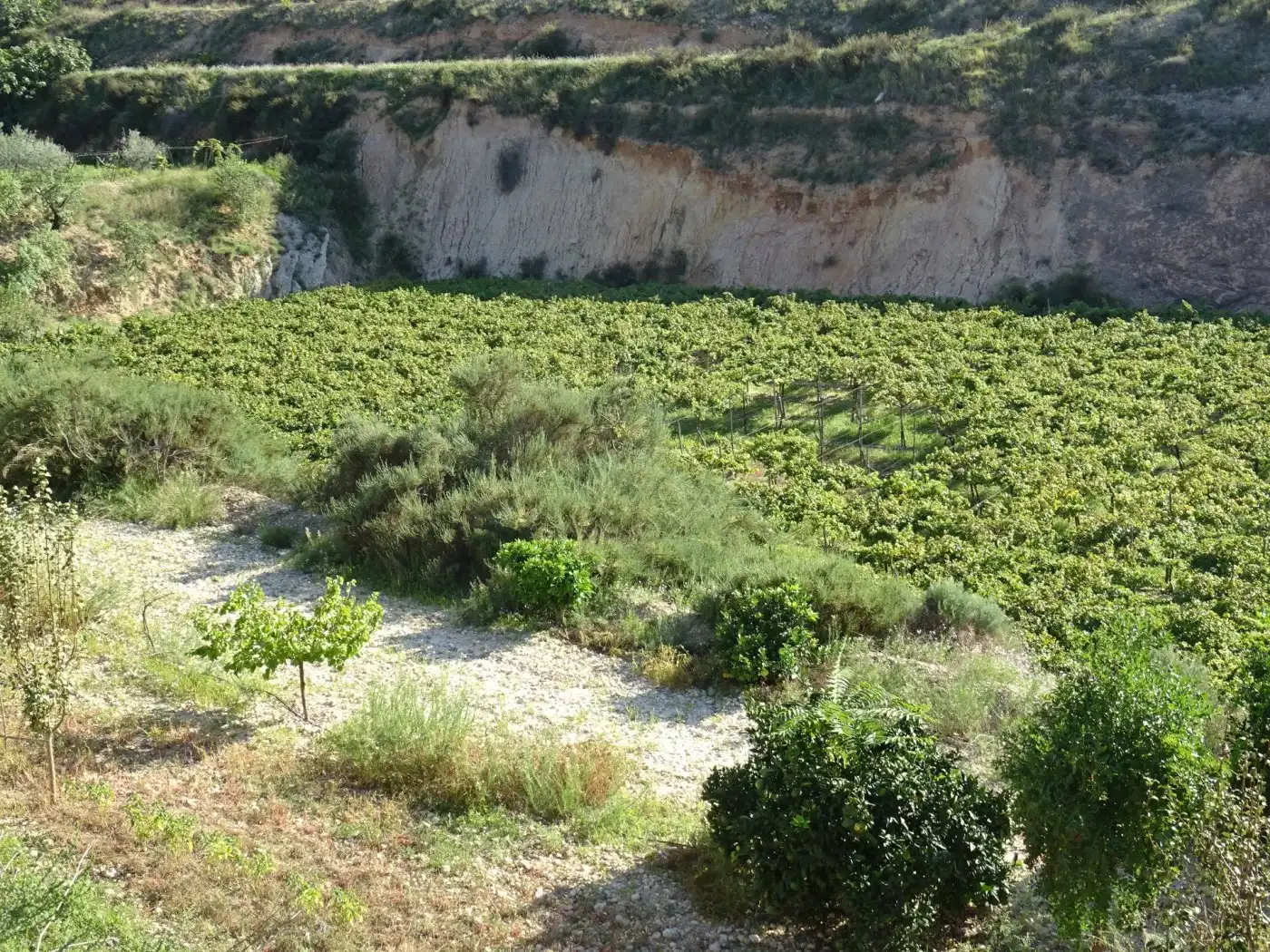 Casa o xalet en venda a Pedanías Este