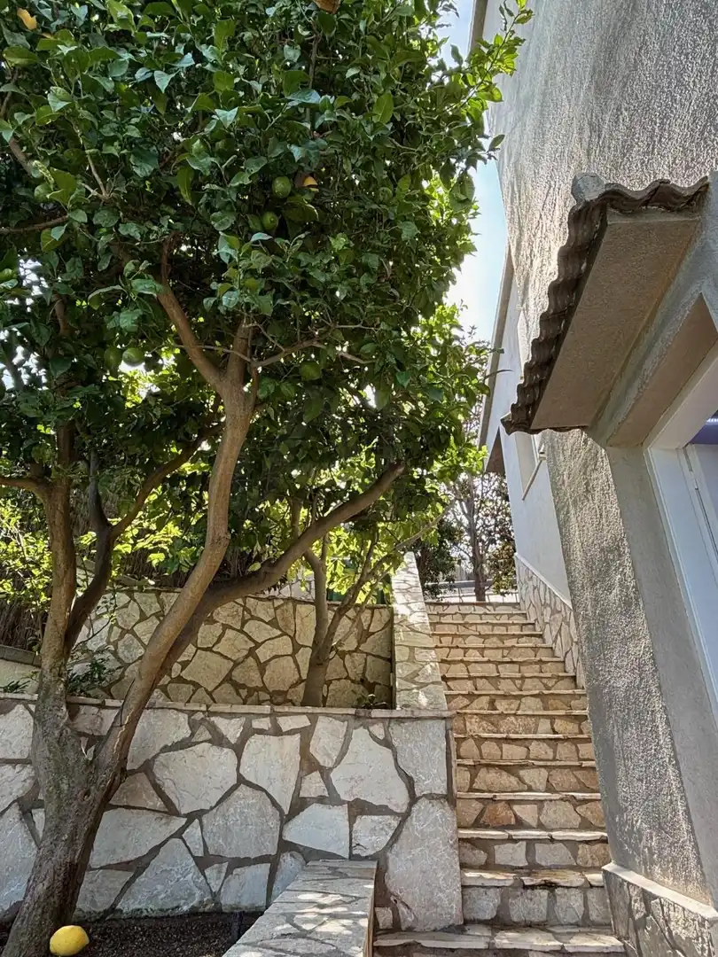 Jardí de Casa o xalet en venda en Calella amb Aire condicionat, Terrassa i Piscina