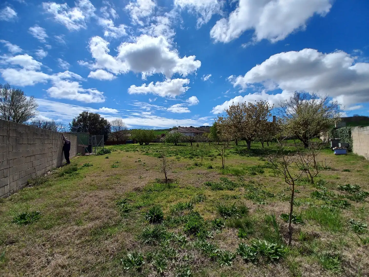 Finca rústica en venta en Cayuela con Jardín privado