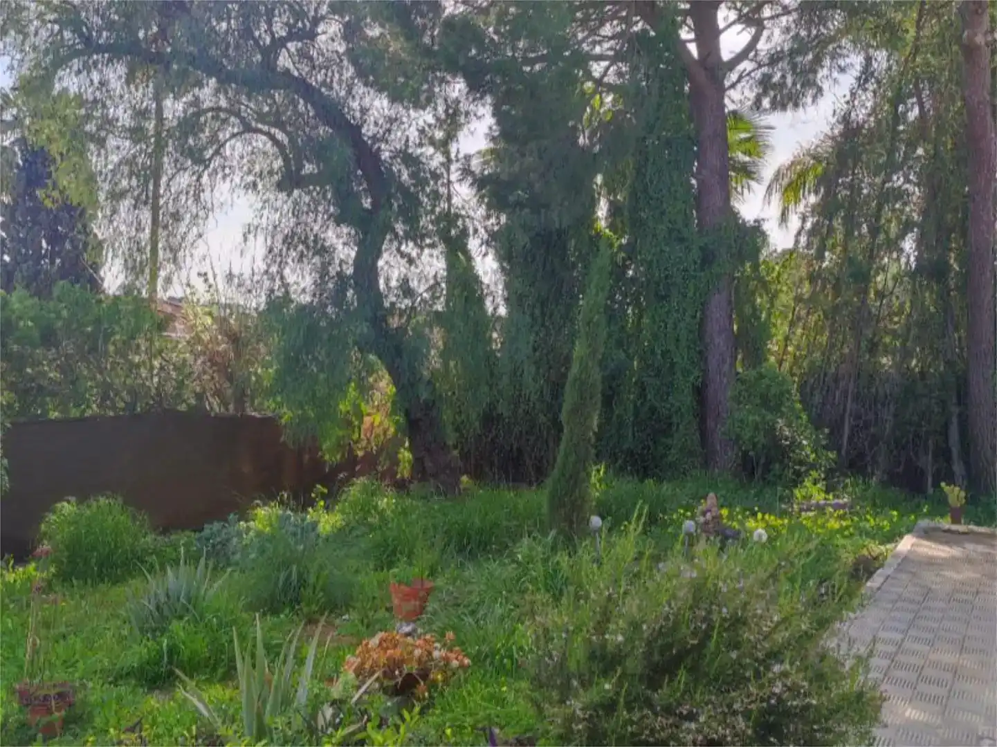 Jardí de Casa o xalet en venda en Alcalá de Guadaira amb Piscina