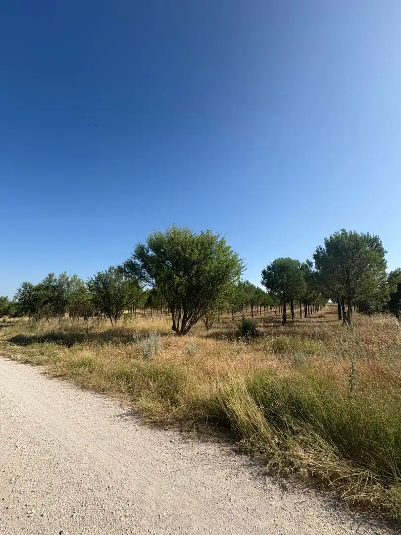 Terreno en venta en Cogeces del Monte