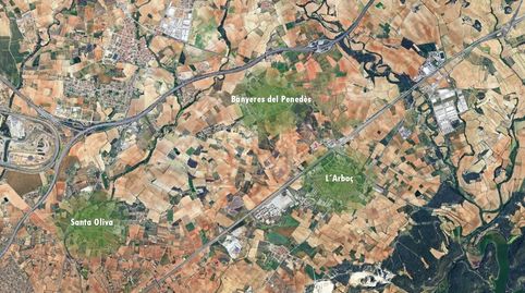 Solvia Inmobiliaria  Suelo Urbano consolidado Arboceres, imatge 5