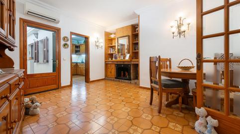 Foto 2 de Finca rústica en venda a Calle D'amorós, Ciutat d'Alcúdia, Alcúdia