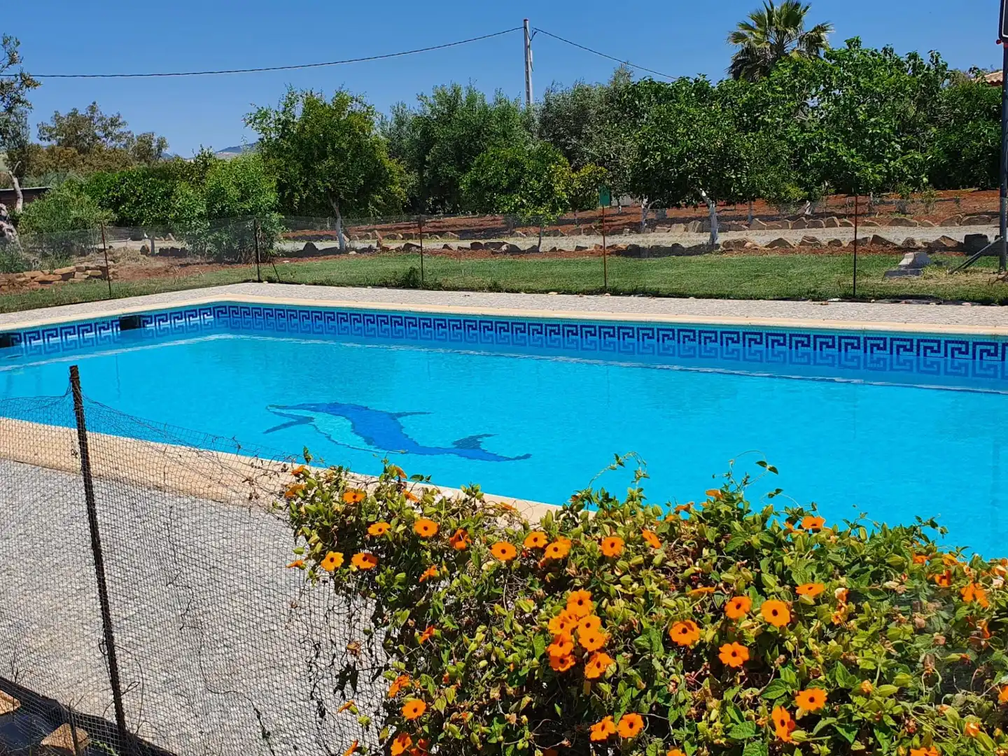 Maison avec piscine à vendre à El Coronil, imagen 17
