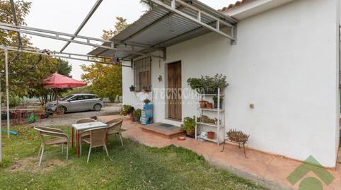 Foto 2 de Finca rústica en venda a Haza Grande,  Granada Capital