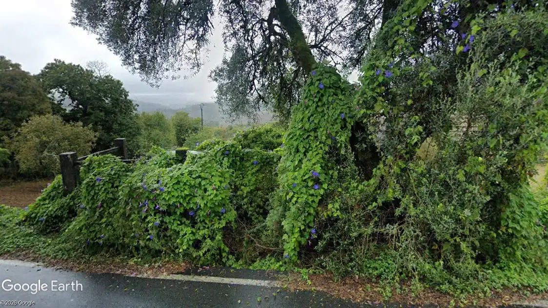 Wohnbaugrundstück zum Verkauf in Ponte Caldelas, imagen 9