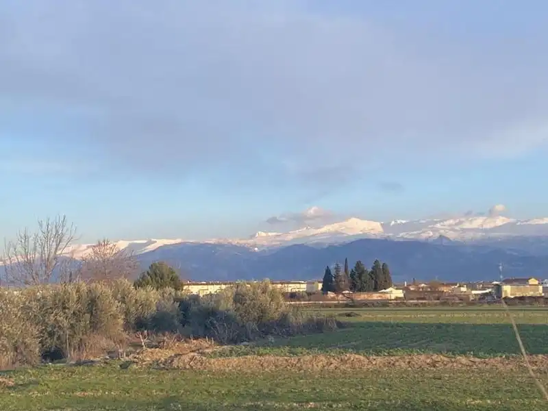 Vista exterior de Finca rústica en venda en Vegas del Genil