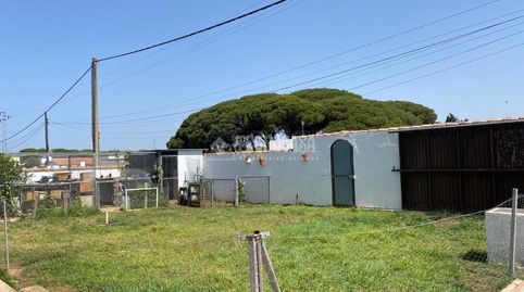 Foto 4 de Finca rústica en venda a Las Lagunas - Campano, Chiclana de la Frontera
