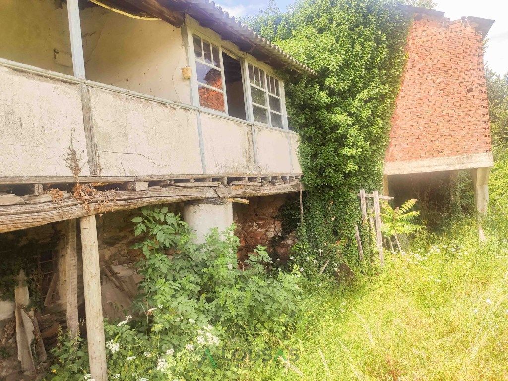 Vista exterior de Casa o xalet en venda en Ribas de Sil