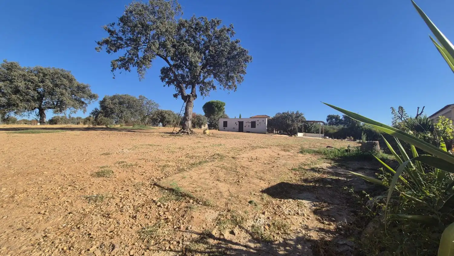 Grundstücke und Bauplätze zum Verkauf in Dehesilla de Calamón - Campomanes, imagen 37