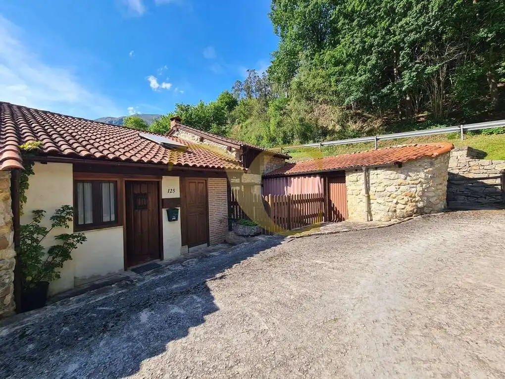 Vista exterior de Casa o xalet en venda en Peñamellera Alta amb Calefacció, Jardí privat i Terrassa