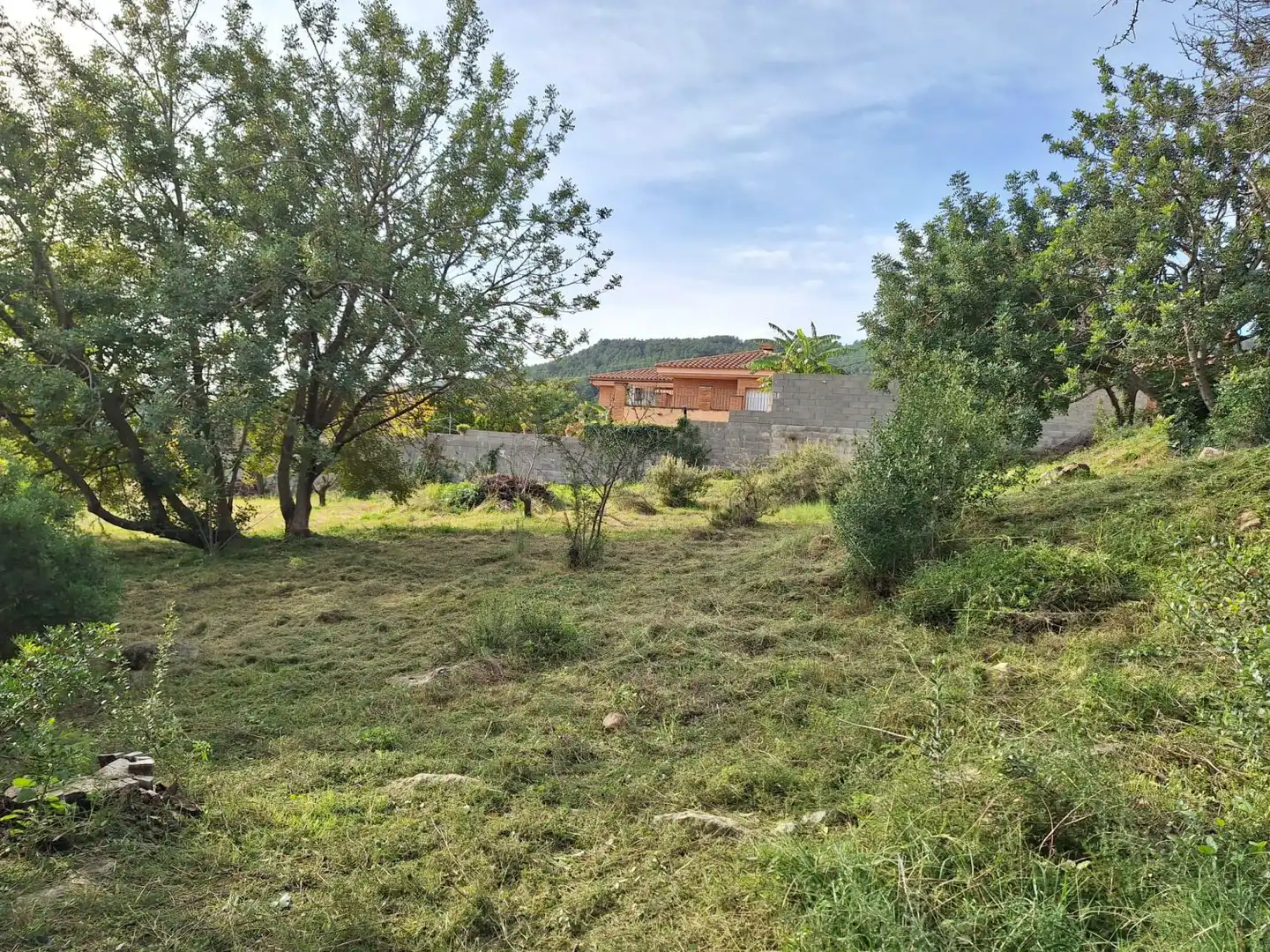 Terrenos y solares en venta en Alcover