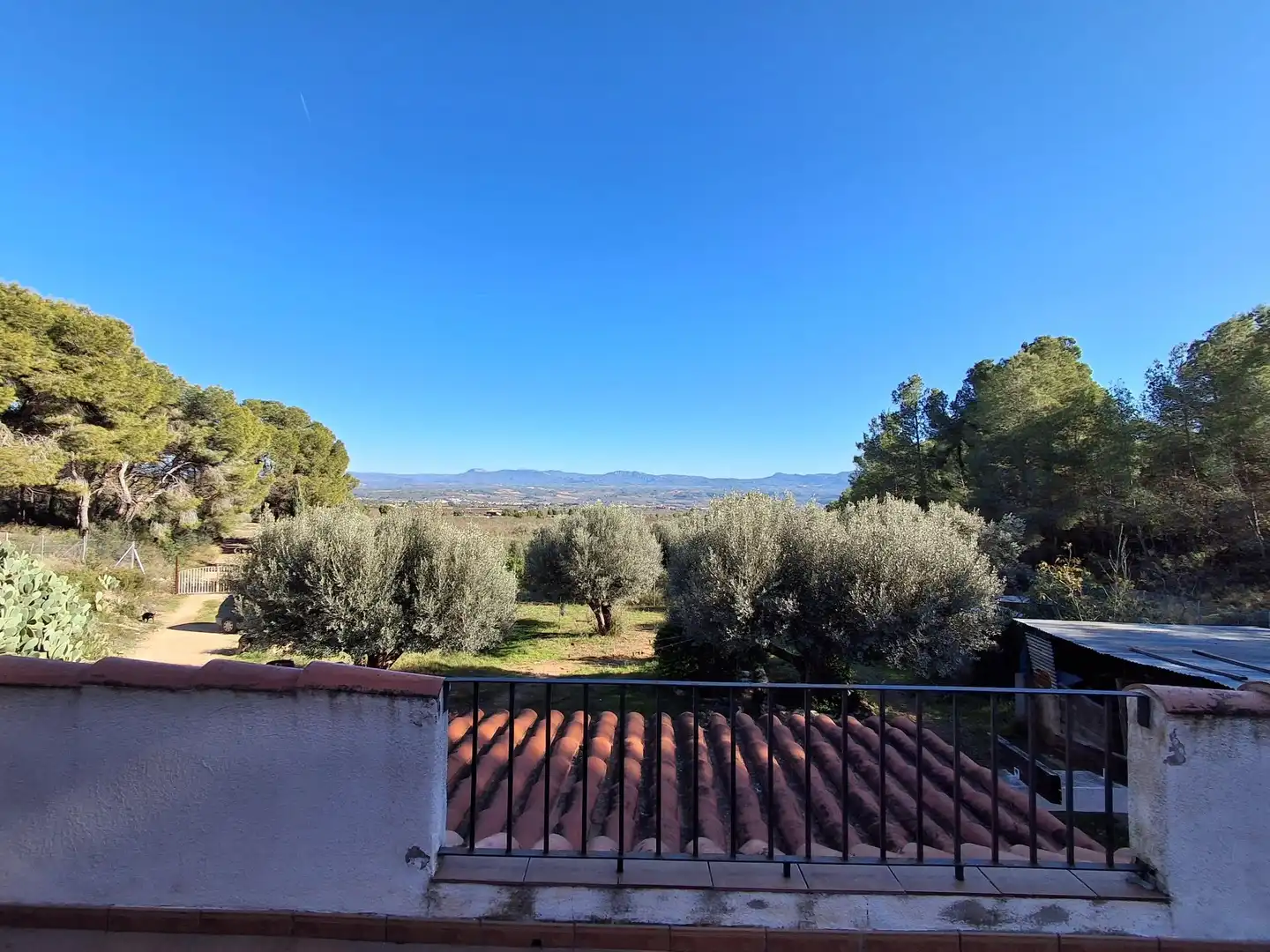 Jardí de Finca rústica en venda en Móra d'Ebre