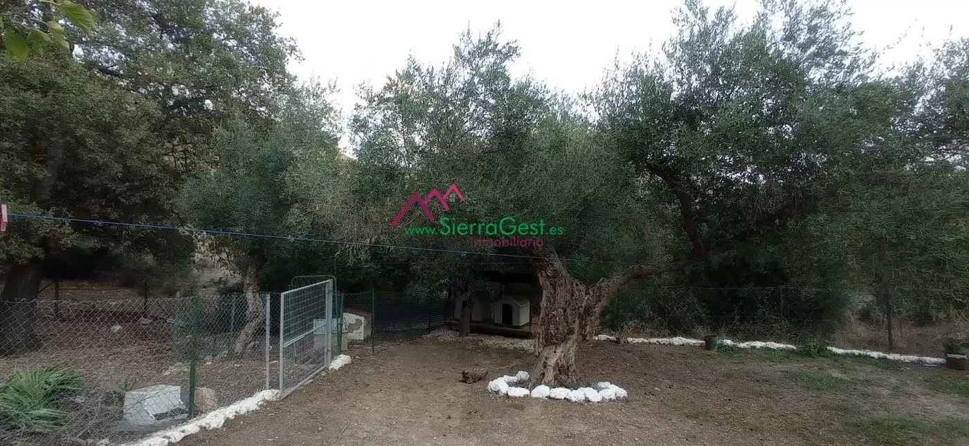 Terreni e lotti in vendita a Benaocaz, imagen 43