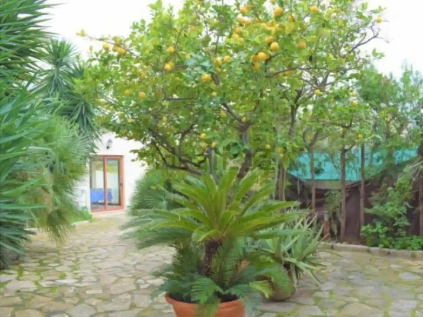 Jardín de Casa o chalet en venta en Campanet con Aire acondicionado, Piscina y Balcón