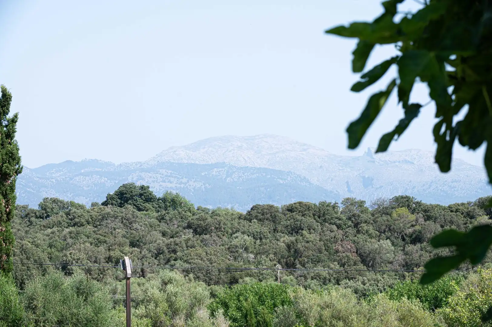 Casa rústica con terraza en venta en Llubí, imagen 14