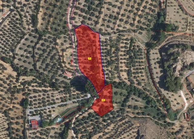 Terreno en Venta en  FUENTE VIEJA en Marchal