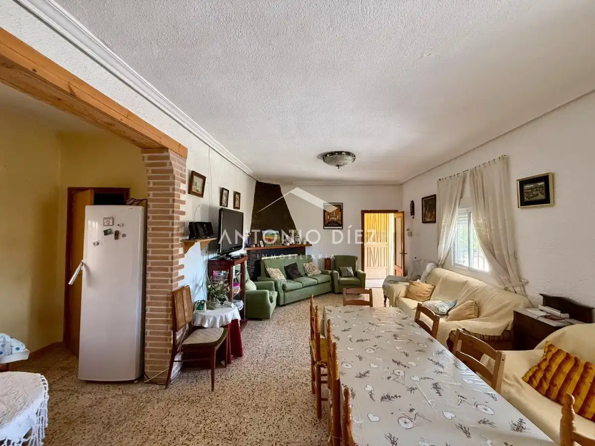 Sala d'estar de Casa o xalet en venda en Aspe amb Terrassa