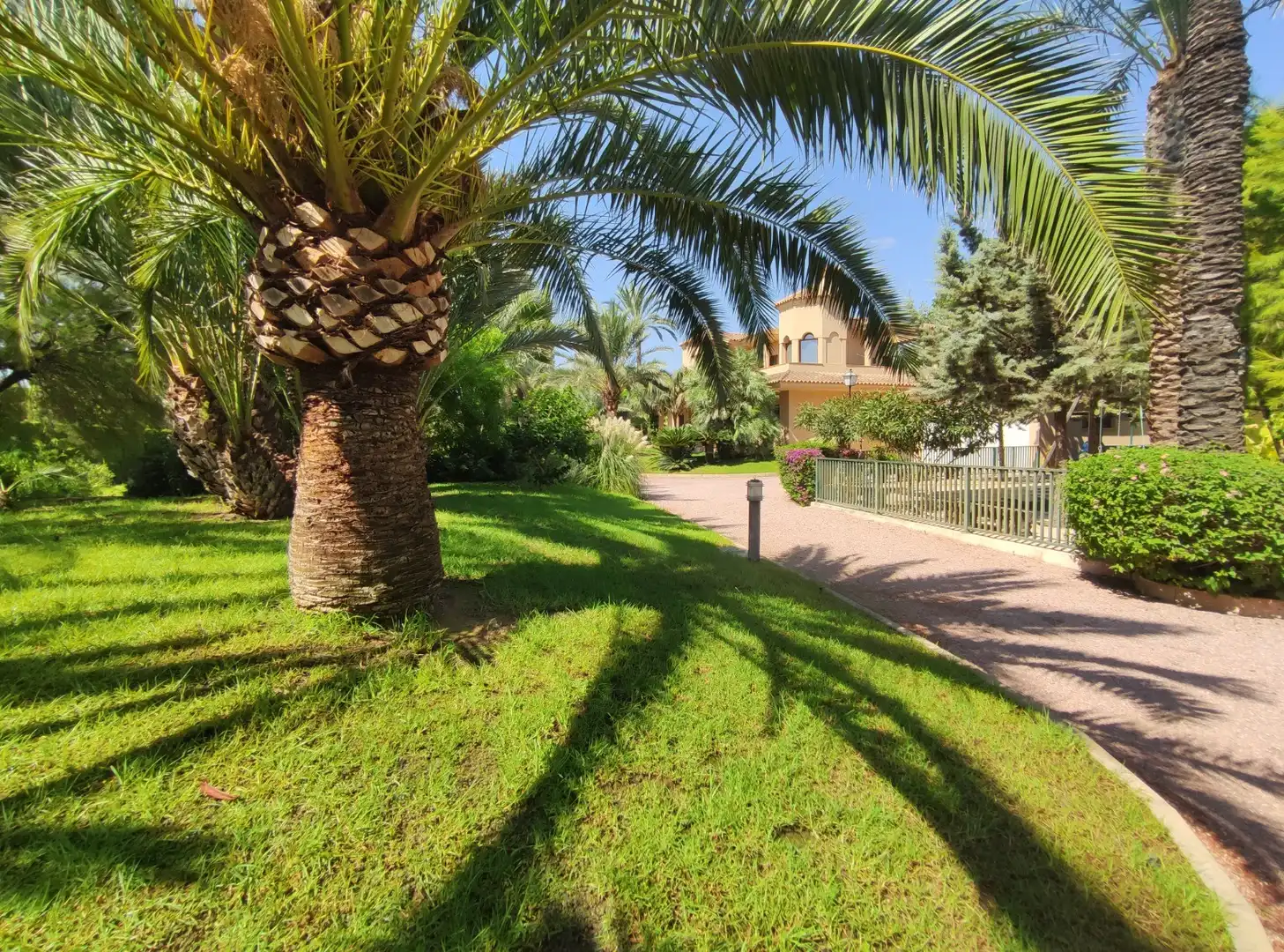 Vista exterior de Casa o xalet en venda en Elche / Elx amb Aire condicionat, Calefacció i Jardí privat