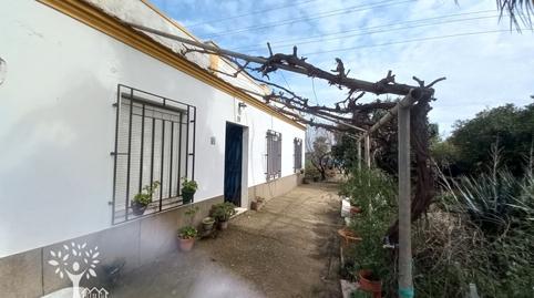 Photo 3 of House or chalet for sale in Calle Los Califas, 1, Palma del Río, Córdoba
