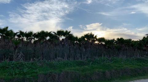 Photo 2 of Land for sale in N/a, -1, Norte - Blanca Paloma, Cádiz