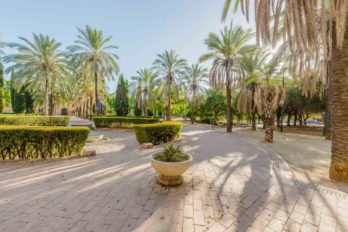 Piso con ascensor en venta en Calle Grupo Oscar Carvallo, imagen 36