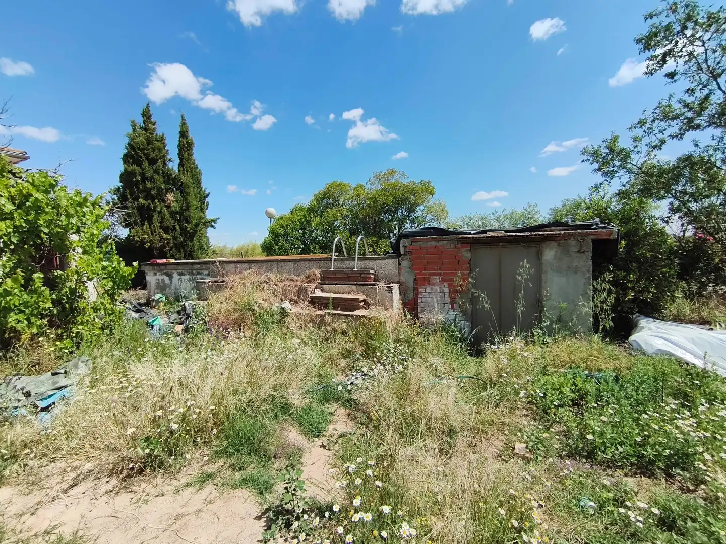 Casa o chalet en venta en El Álamo