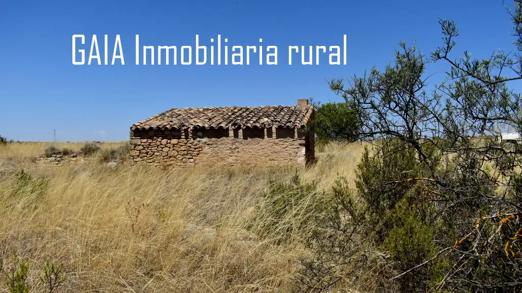 Vista exterior de Finca rústica en venta en Caspe