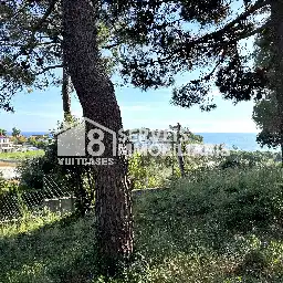 Lands and plots for sale in de Pere Corominas 28, imagen 23