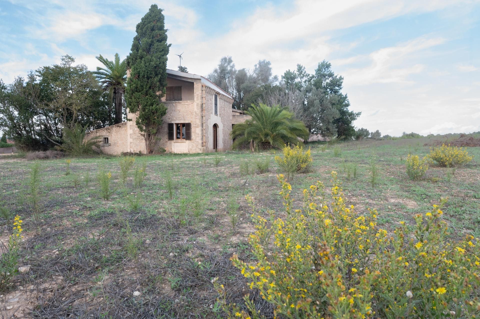 Vista exterior de Finca rústica de lloguer en Sineu amb Jardí privat, Terrassa i Traster