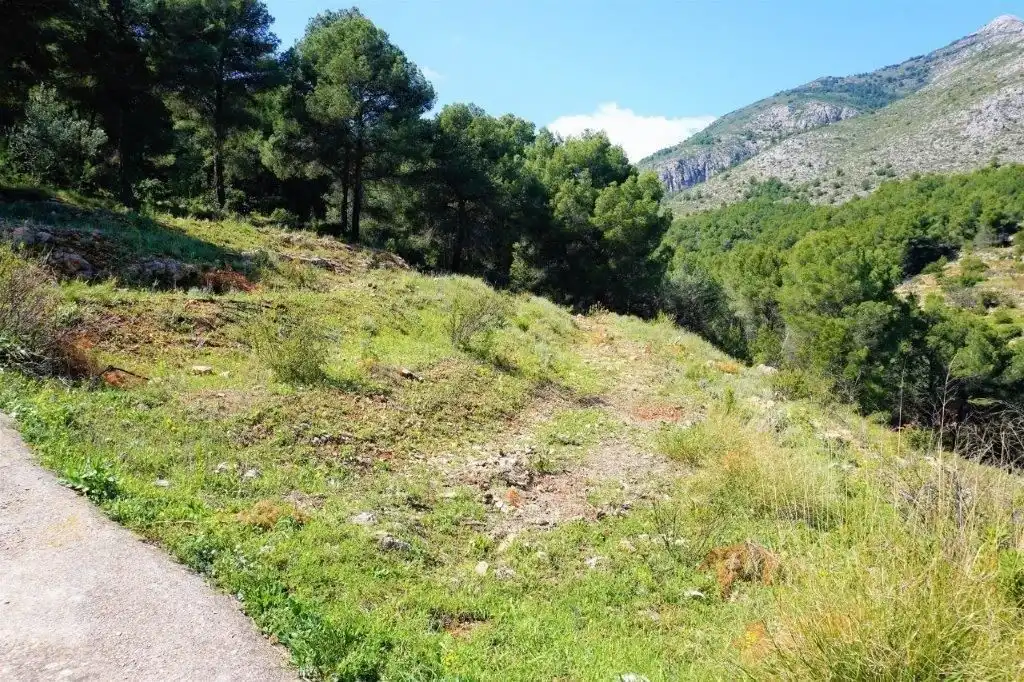 Terreny residencial en venda a Callosa d'en Sarrià, imagen 16