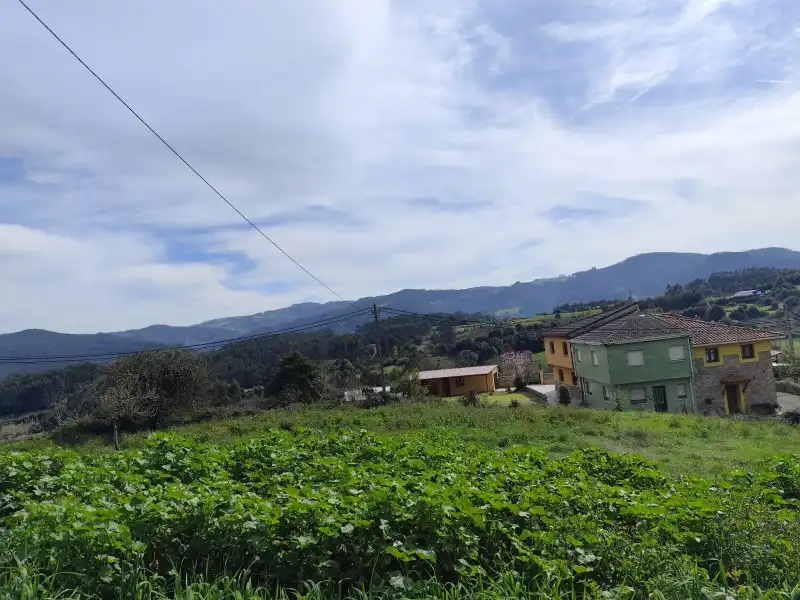Finca rústica en venda a N/A, -1, Pravia