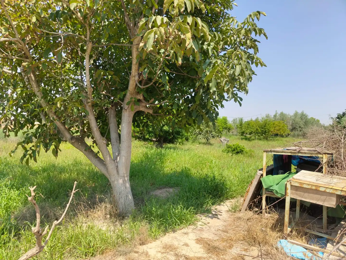 Terreno en venta en Las Torres de Cotillas