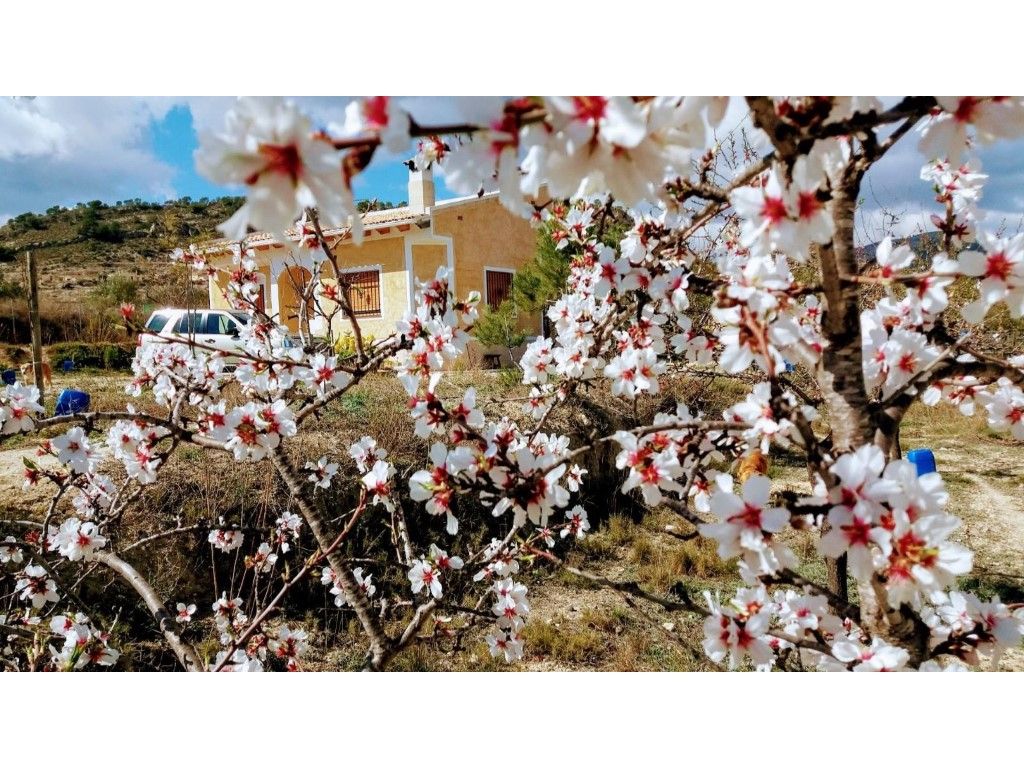 Jardí de Finca rústica en venda en Relleu