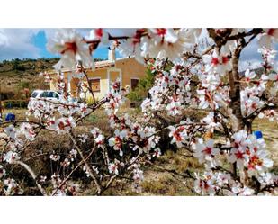 Jardí de Finca rústica en venda en Relleu