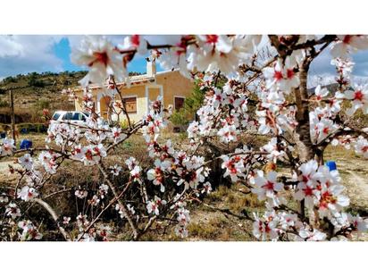 Garden of Country house for sale in Relleu